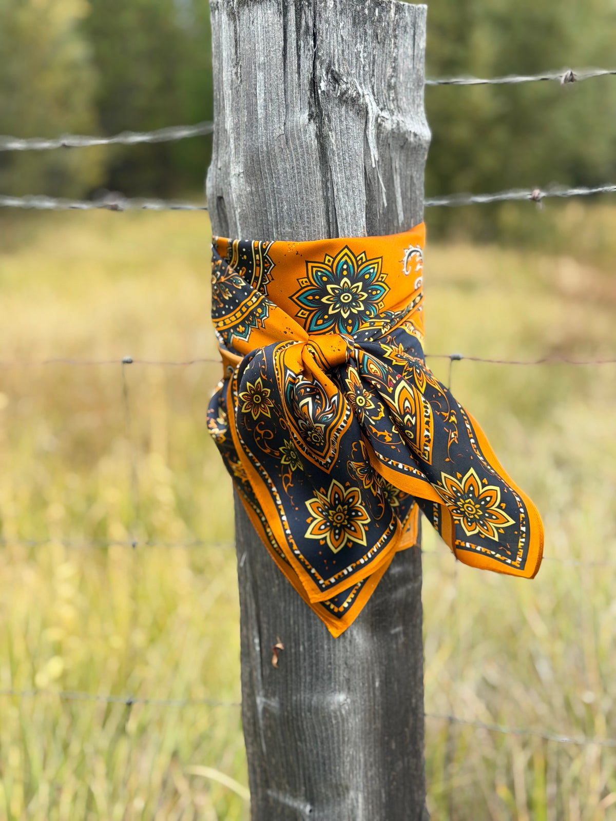 Prairie Gold Paisley | Heritage Collection – 100% Silk Wild Rag | 42”

Bold Western Heritage. Timeless Silk Elegance.