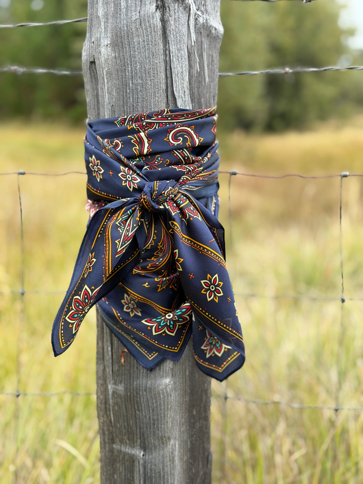 Midnight Paisley 42” Silk