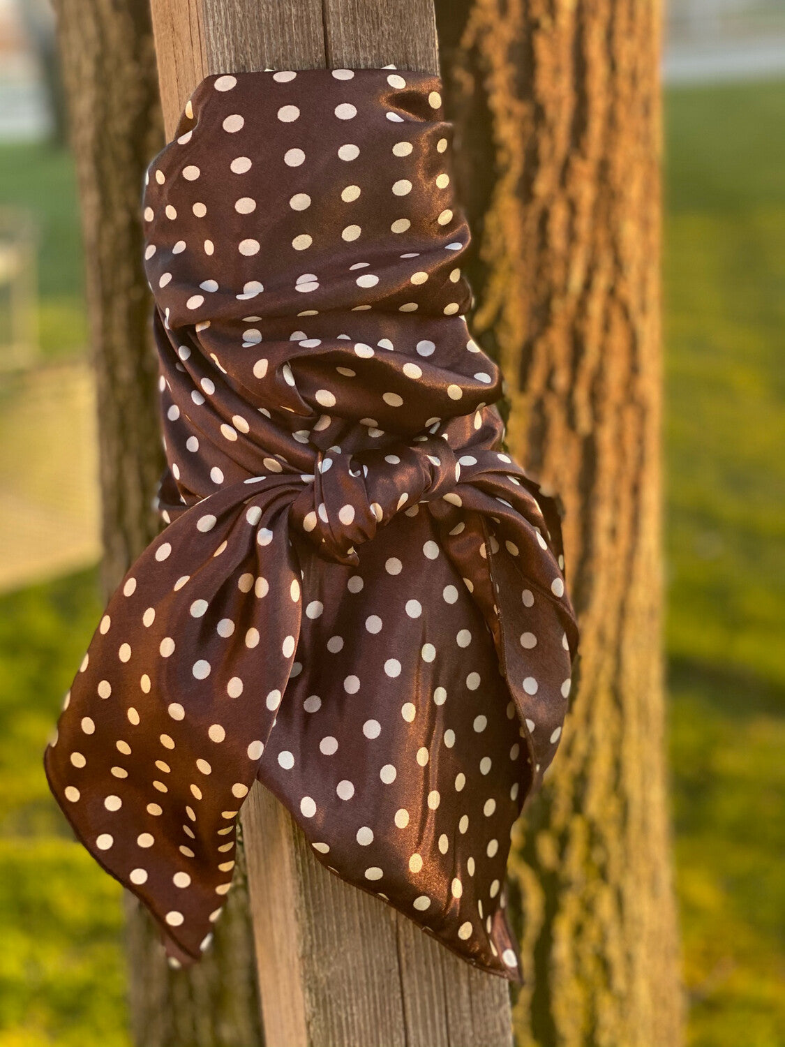 Punchy- 42” Silky Charmeuse Brown/White Polka Dot Wild Rag